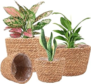 Seagrass planter basket